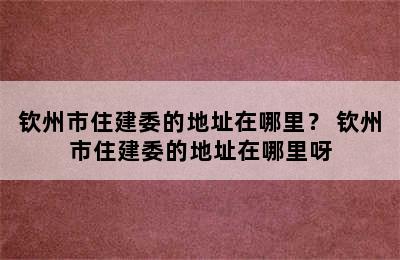 钦州市住建委的地址在哪里？ 钦州市住建委的地址在哪里呀